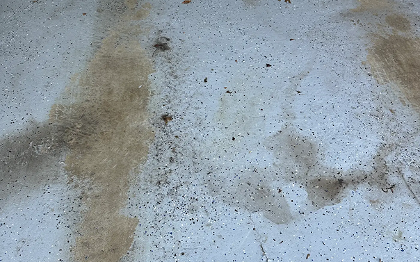 Image Comparison 1